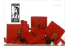 Aramis Christmas Packaging-1.