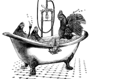 1_A3_Chickens_in_bathtub