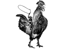 1_Cowboy-Riding-Rooster
