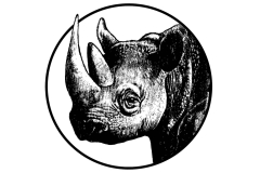 Rhinoceros